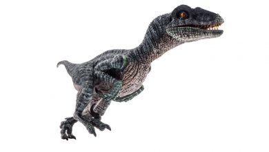Photo of Fossilized Remains of “MegaRaptor” Found in South America