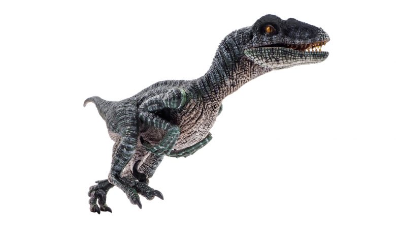 New MegaRaptor discovered