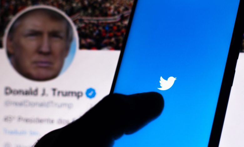 Twitter logo on smartphone with Donald Trumps official account in the background.