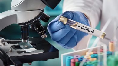 Photo of Oxford Coronavirus Vaccine Yields Promising Results During Trials