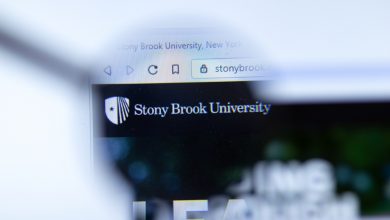 Photo of Stony Brook Professor’s Primary Model Gives Trump 91% Chance of Reelection