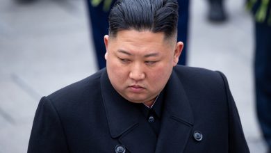 Photo of Kim Jong Un Has Allegedly Been in a Coma for Months