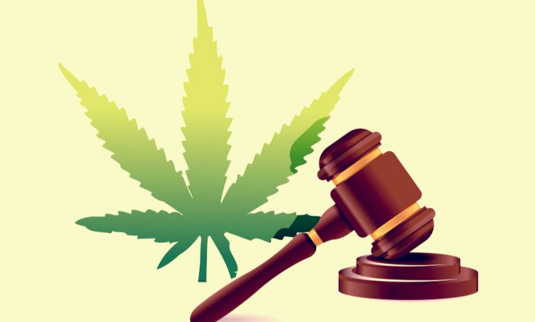 marijuana law hammer illustration.