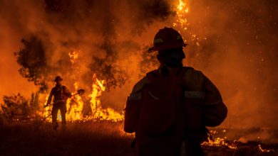 Photo of Napa County Fires Spans Over 1500 Acres, Forces Evacuations
