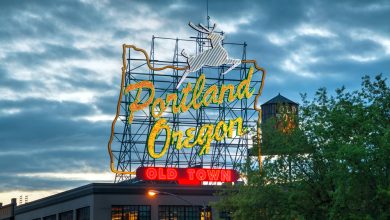 Photo of Viral Video: Watch Portland Protesters Dragged By Car