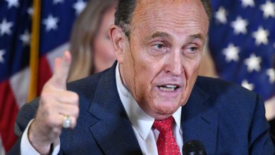 Photo of Sidney Powell No Longer Part of Trump's Legal Team