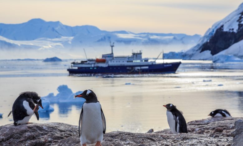 Gentoo penguins standing on the rocks and cruise ship in the background at Neco bay, Antarctica.
