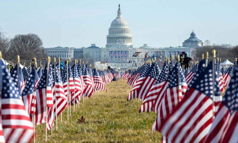 Capitol Building through the Field of Flags.