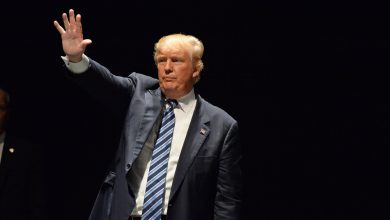 Photo of Cindy Grosz: Here Is Your Defense Donald Trump