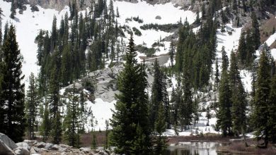 Photo of Millcreek Canyon Avalanche Leaves 4 Skiers Dead