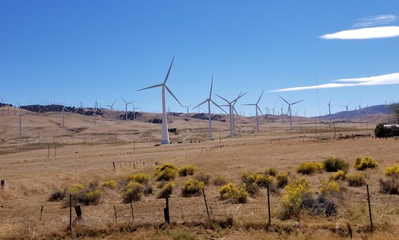 Windmills of Amarillo, a city in north Texas.