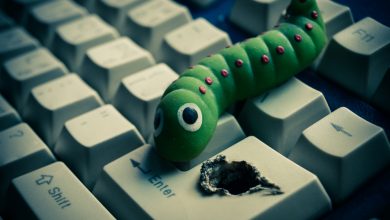 Photo of What Is the Difference Between a Computer Virus and a Worm?