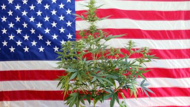 Photo of White House Staffers Let Go Due to Marijuana Use