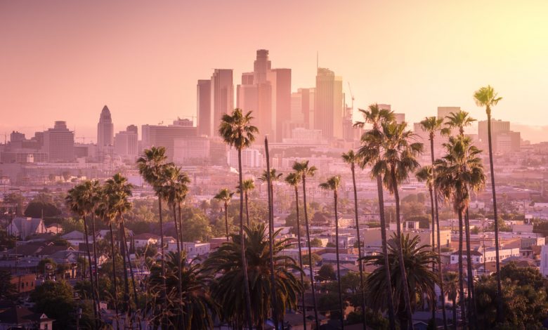 Los Angeles downtown skyline and palm trees in foreground.