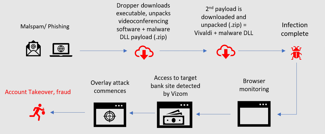 Vizom infection flow chart.