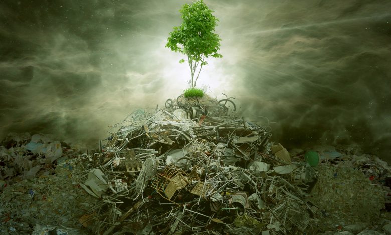 Green concept as a leaf tree on top of mountain heap of garbage with roots as an environment or conservation icon for waste management or new healthy beginning.