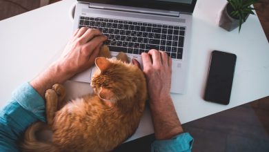 Photo of What Are the Pros and Cons of Remote Work?