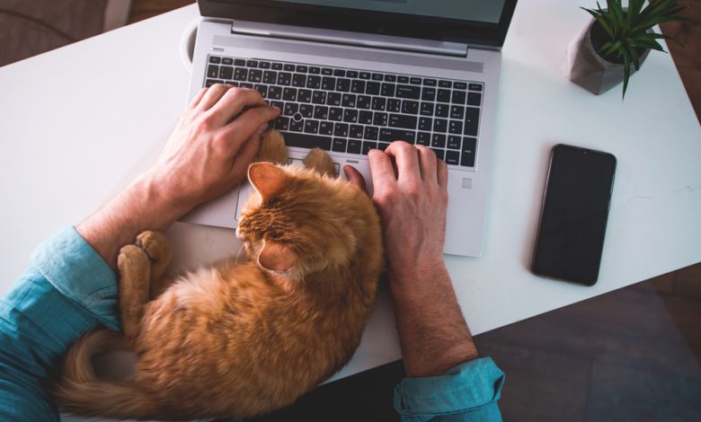 man typing on a computer while his cat sits on the table.