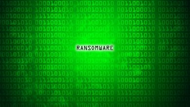 Photo of What is Aimnip Ransomware