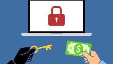 Photo of What is Pyphyfe Ransomware?
