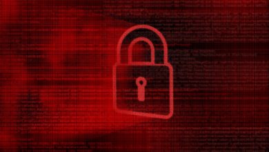 Photo of What is Lip Ransomware?