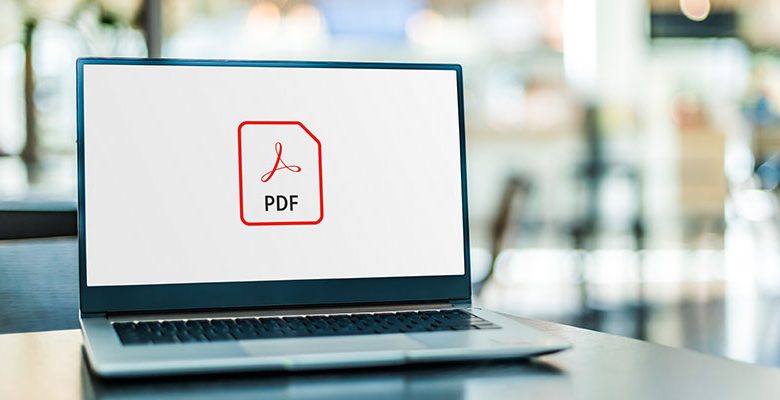 pdf file