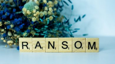 Photo of The Takedown of BlackCat Ransomware: Government Disrupts Operation and Releases Decryption Tool