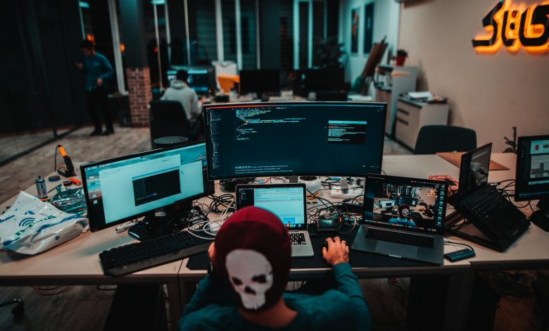 person using laptops