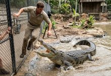 Photo of Robert Irwin Faces "Death Roll" with 14-Foot Crocodile Named Jimmy Fallon