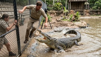 Photo of Robert Irwin Faces "Death Roll" with 14-Foot Crocodile Named Jimmy Fallon